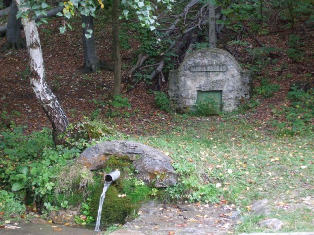 photo153.jpg