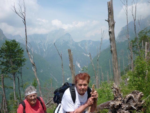 photo16.jpg