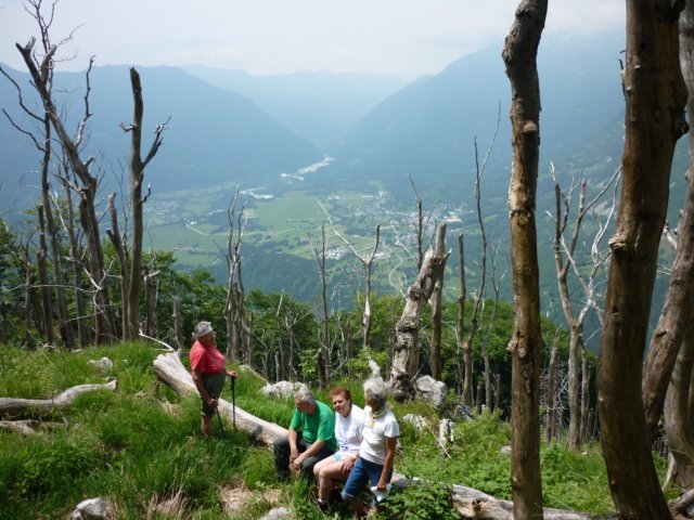 photo17.jpg