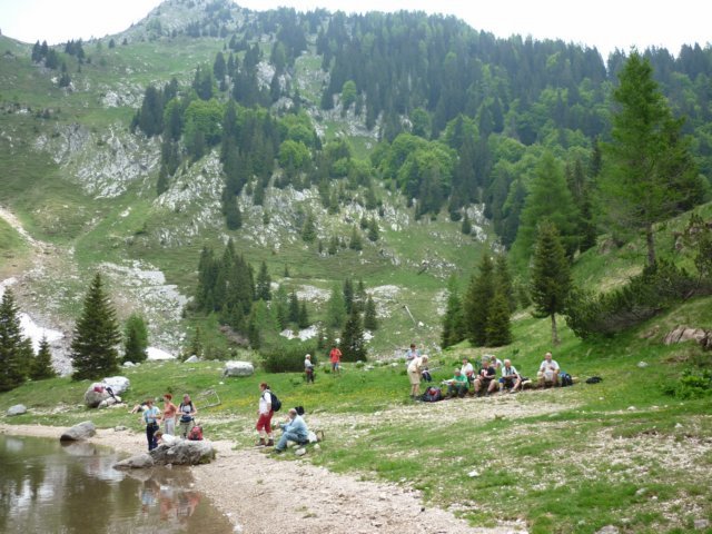 photo31.jpg