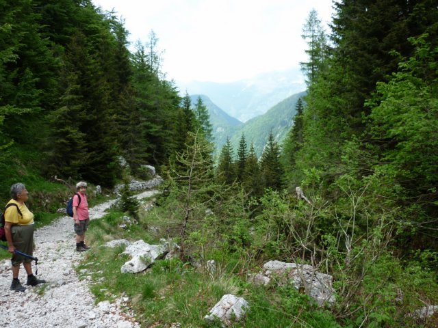 photo37.jpg