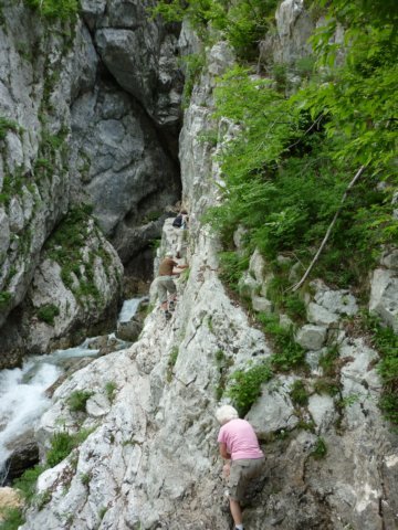 photo39.jpg