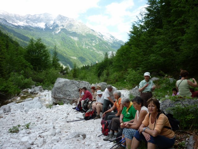 photo44.jpg