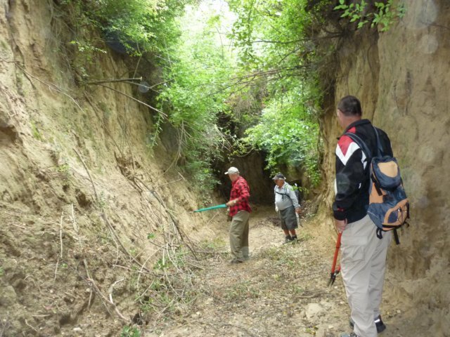 photo22.jpg