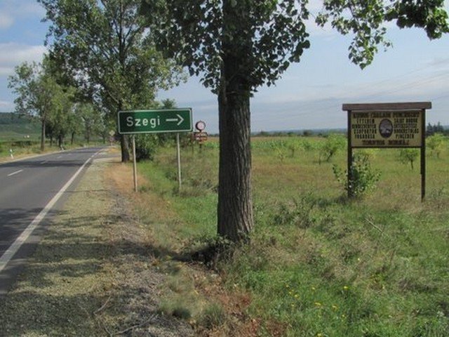 photo11.jpg