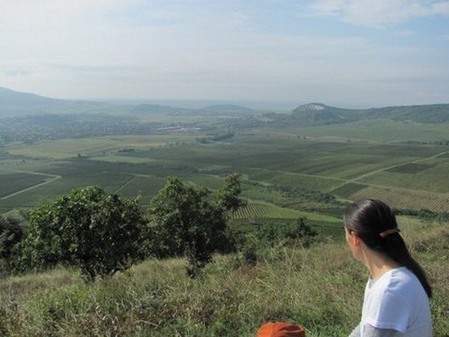 photo12.jpg