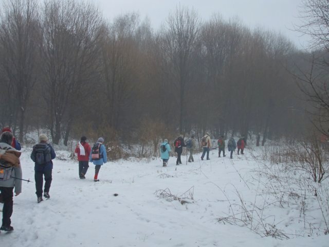 photo05.jpg