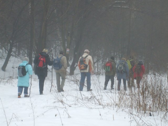 photo06.jpg