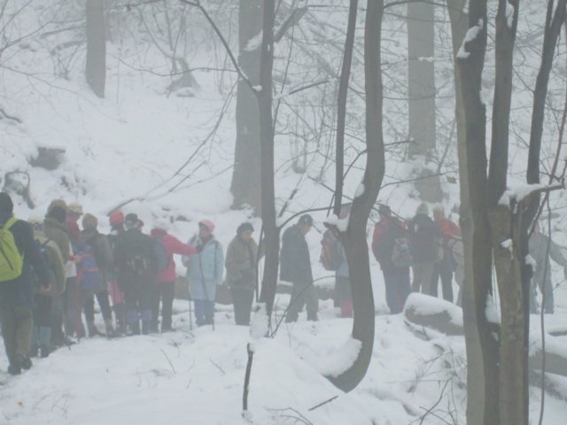 photo14.jpg