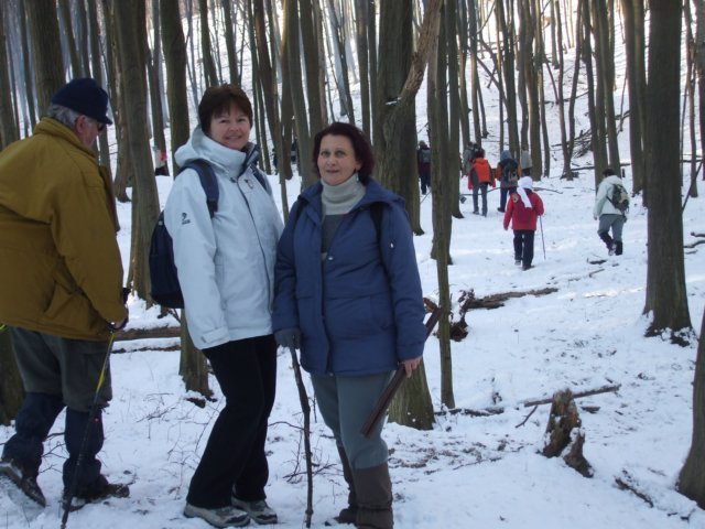 photo22.jpg