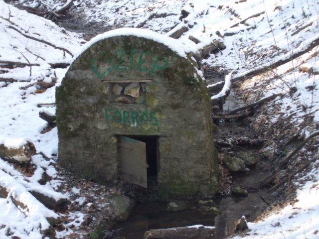 photo25.jpg