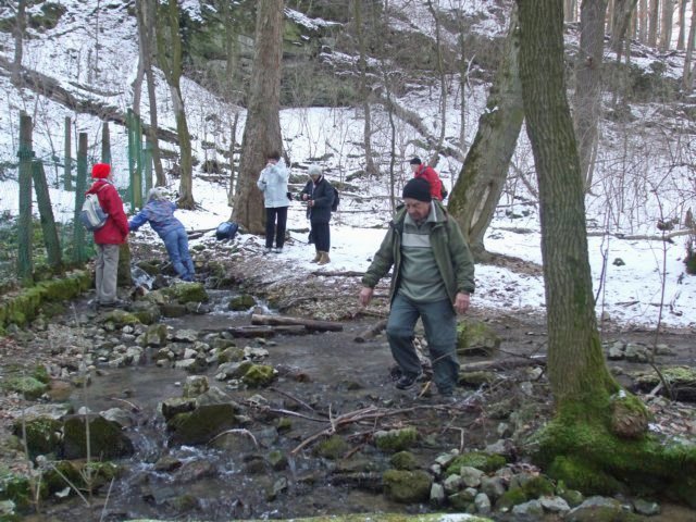 photo28.jpg