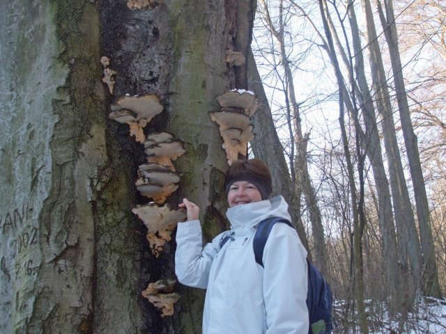 photo31.jpg