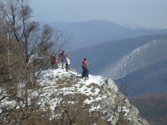 photo40.jpg