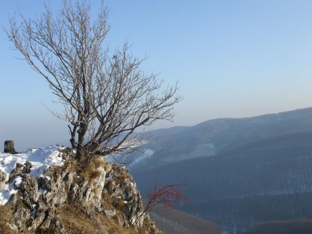 photo49.jpg