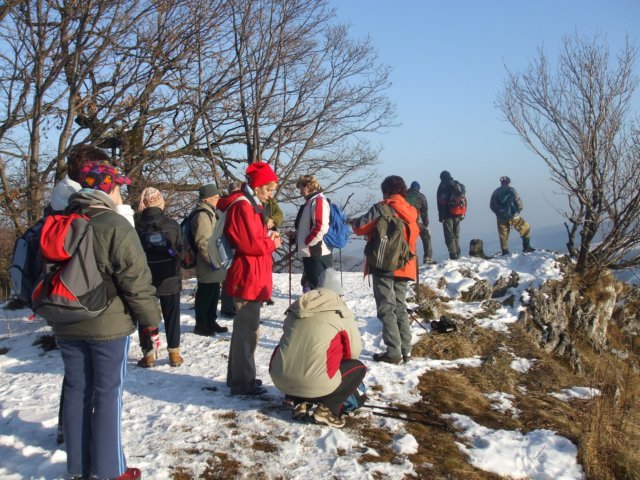 photo50.jpg