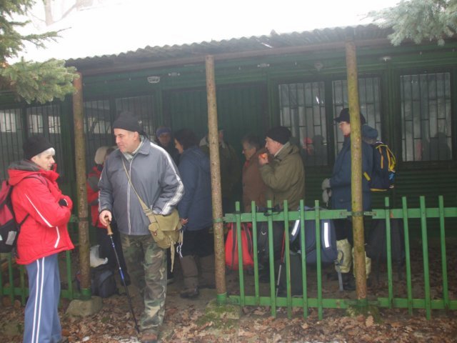 photo58.jpg