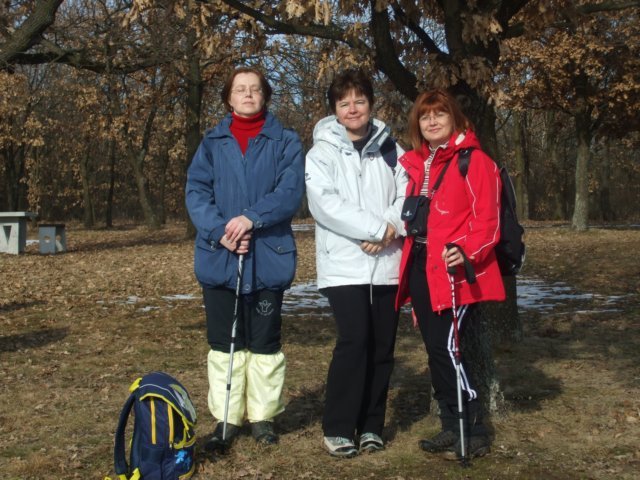 photo61.jpg