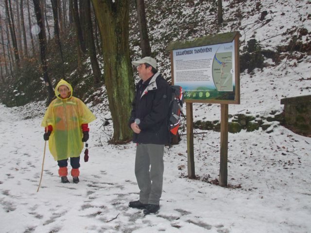 photo62.jpg