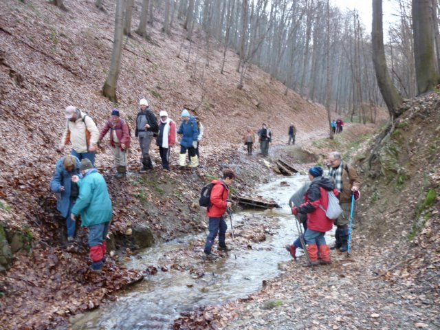 photo009.jpg