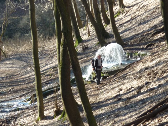 photo014.jpg