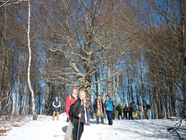 photo023.jpg
