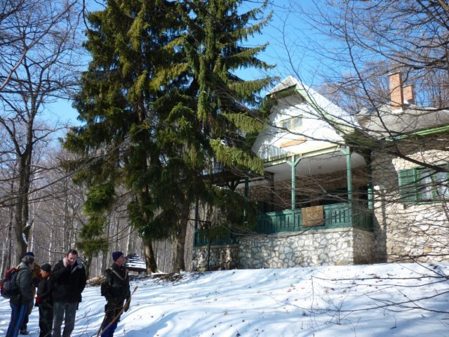 photo040.jpg