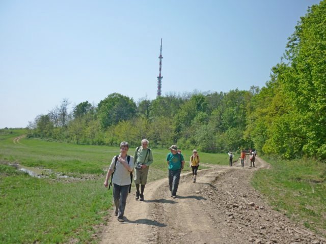 photo090.jpg