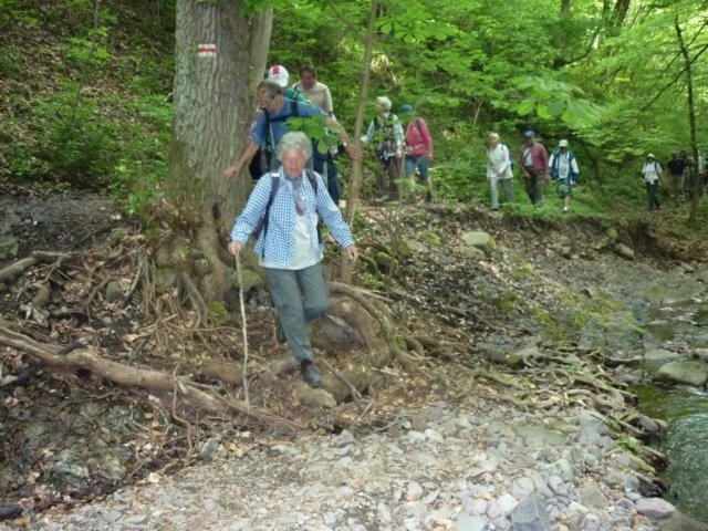 photo097.jpg