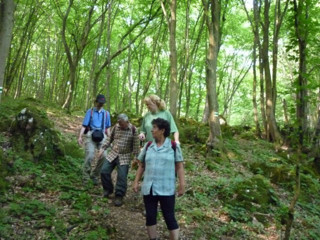 photo114.jpg