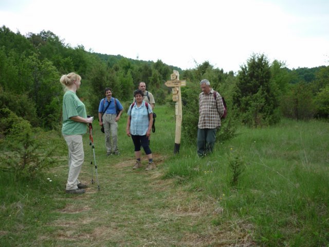photo119.jpg