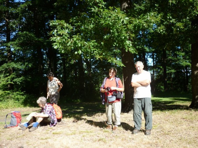 photo156.jpg