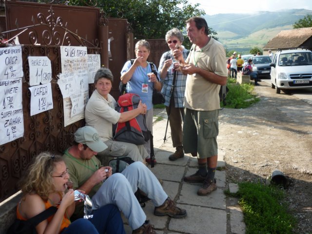 photo174.jpg