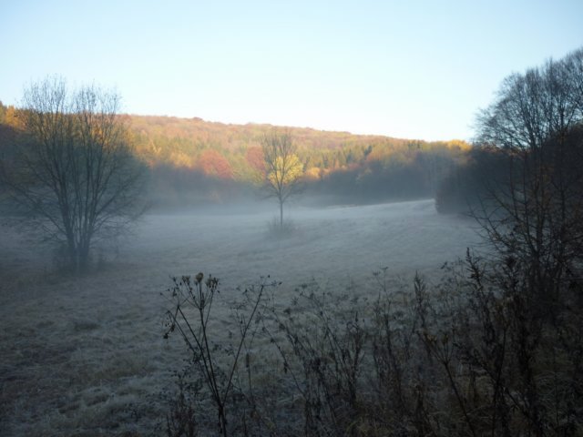 photo232.jpg