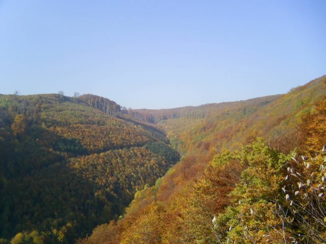 photo023.jpg