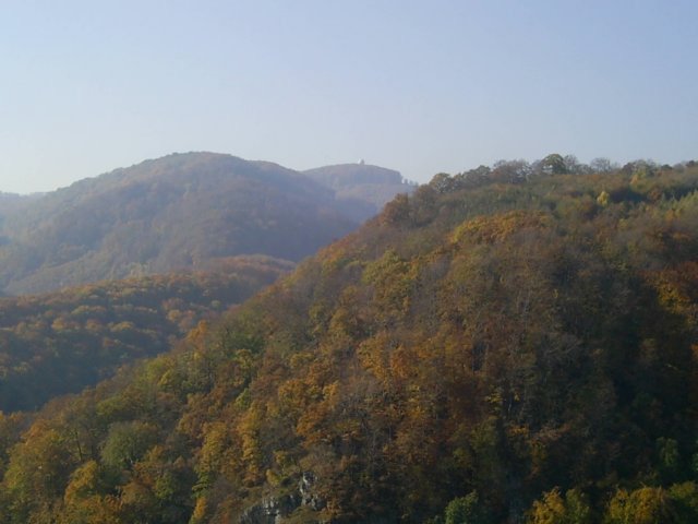 photo024.jpg