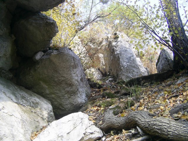 photo034.jpg