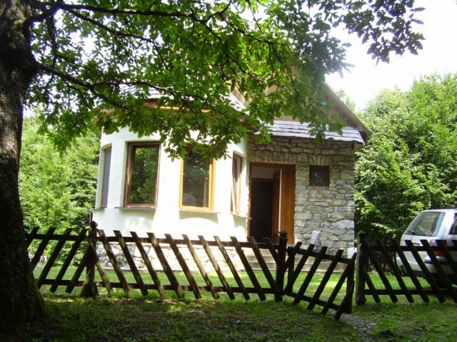photo049.jpg