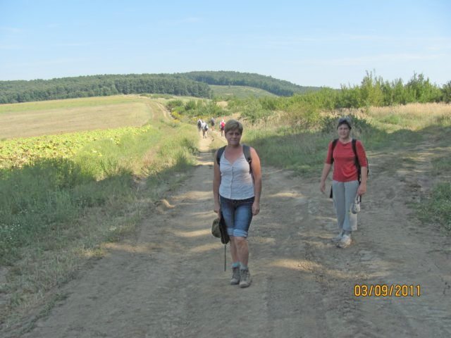 photo160.jpg