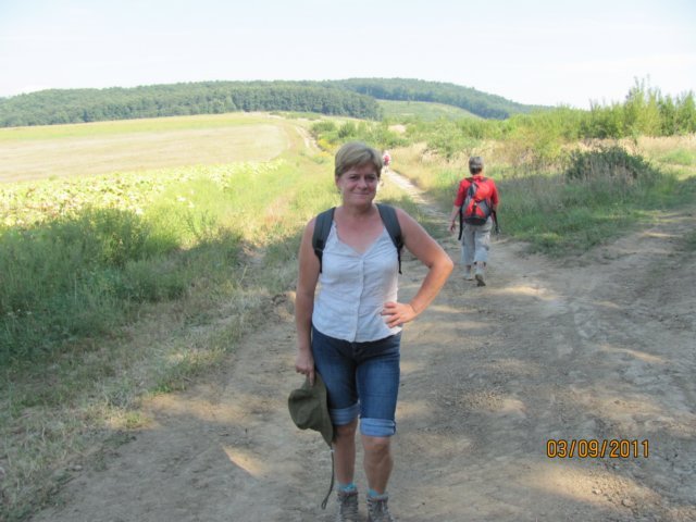 photo161.jpg