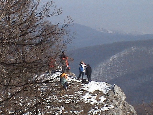 photo25.jpg