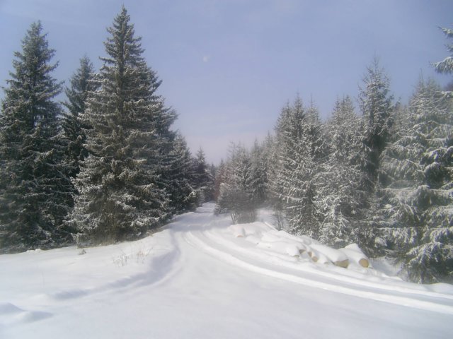 photo001.jpg