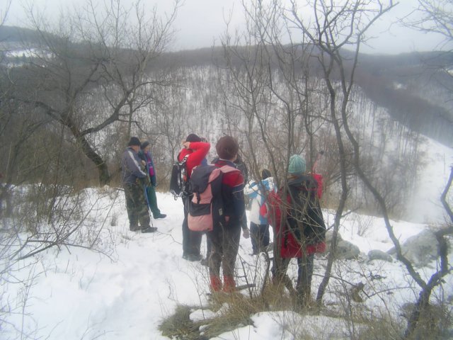 photo003.jpg