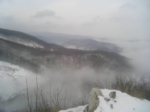 photo007.jpg