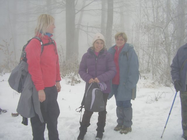 photo011.jpg