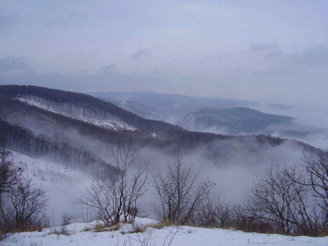 photo013.jpg