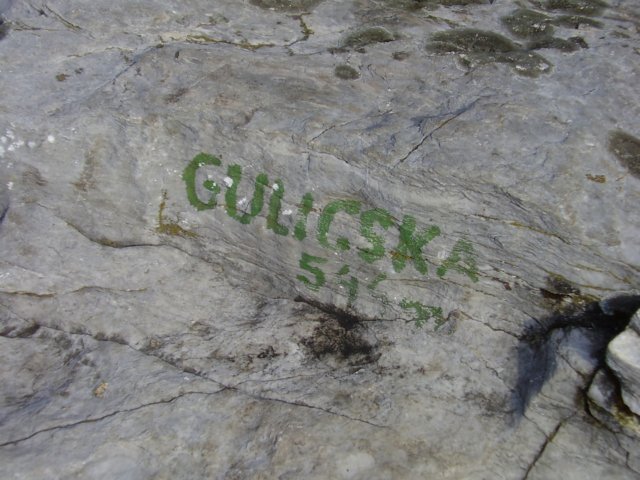 photo016.jpg