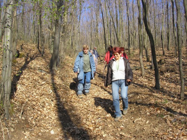 photo028.jpg