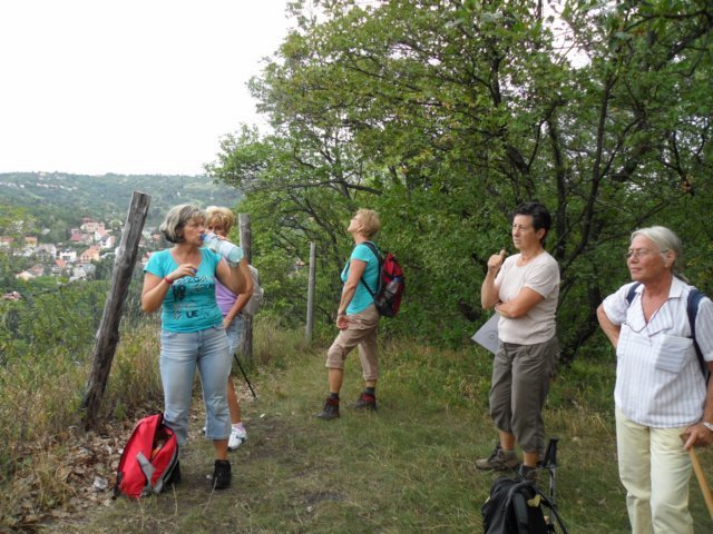 photo040.jpg