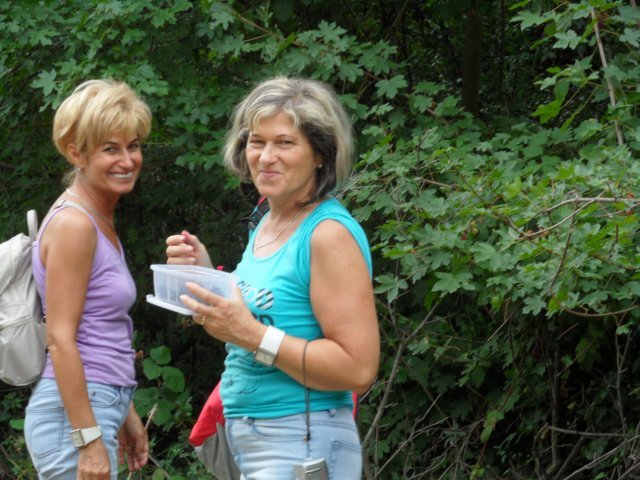 photo048.jpg